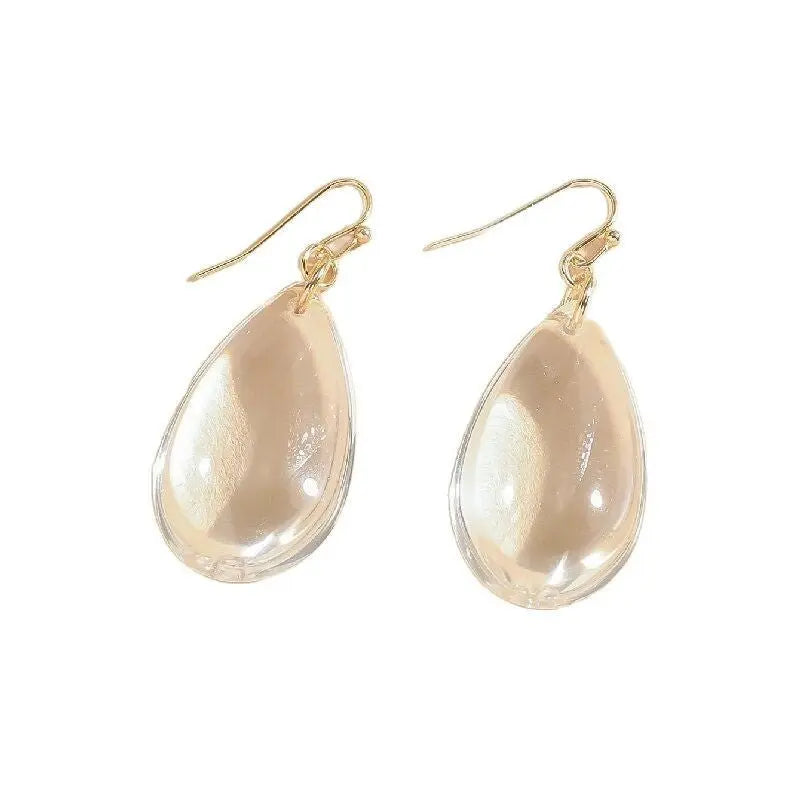 Simple And Elegant Niche Transparent Drop Earrings Elegant And Cold Style With A High-end Feel Mohamed jewelry My Store