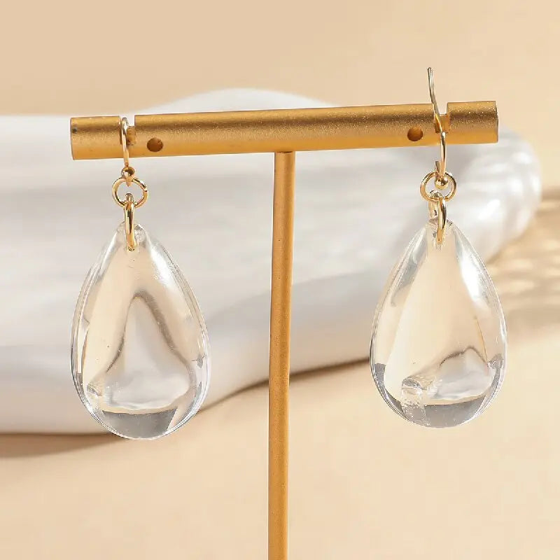 Simple And Elegant Niche Transparent Drop Earrings Elegant And Cold Style With A High-end Feel Mohamed jewelry My Store
