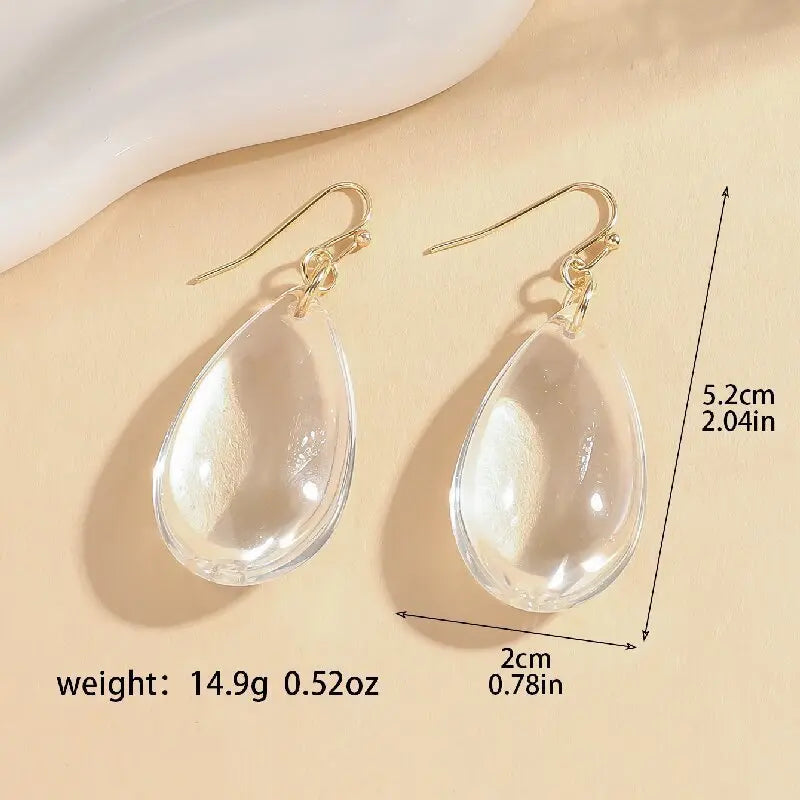 Simple And Elegant Niche Transparent Drop Earrings Elegant And Cold Style With A High-end Feel Mohamed jewelry My Store